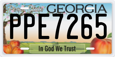 GA license plate PPE7265
