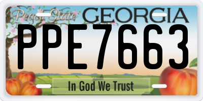 GA license plate PPE7663
