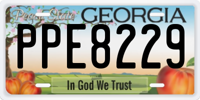 GA license plate PPE8229