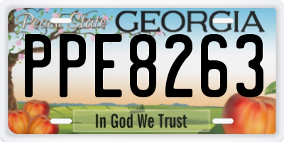 GA license plate PPE8263