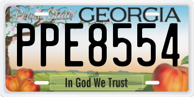 GA license plate PPE8554