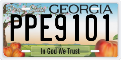 GA license plate PPE9101