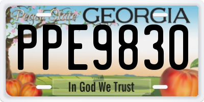 GA license plate PPE9830