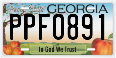 GA license plate PPF0891