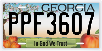 GA license plate PPF3607