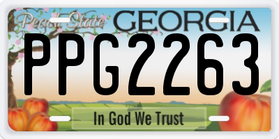 GA license plate PPG2263