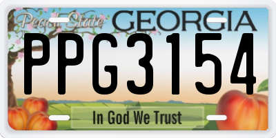 GA license plate PPG3154