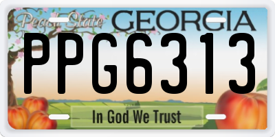 GA license plate PPG6313