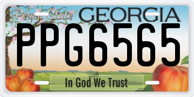 GA license plate PPG6565