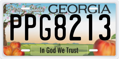 GA license plate PPG8213