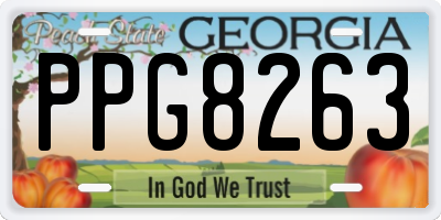 GA license plate PPG8263