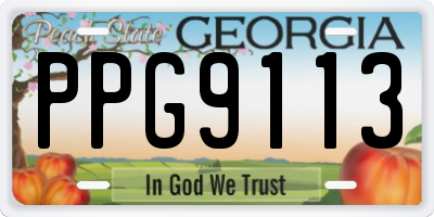 GA license plate PPG9113