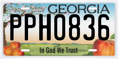 GA license plate PPH0836
