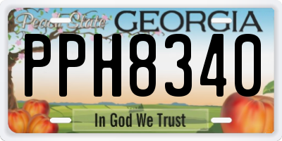 GA license plate PPH8340