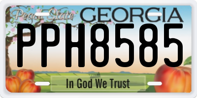 GA license plate PPH8585