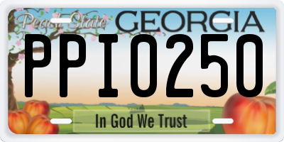 GA license plate PPI0250