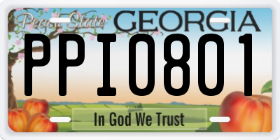 GA license plate PPI0801