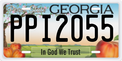 GA license plate PPI2055