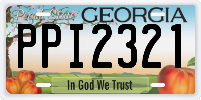 GA license plate PPI2321