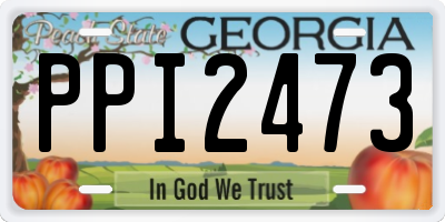 GA license plate PPI2473