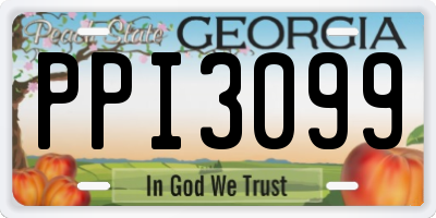 GA license plate PPI3099