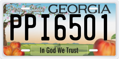 GA license plate PPI6501