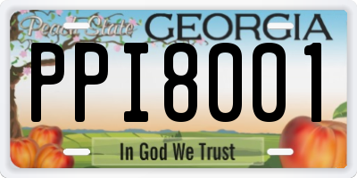GA license plate PPI8001