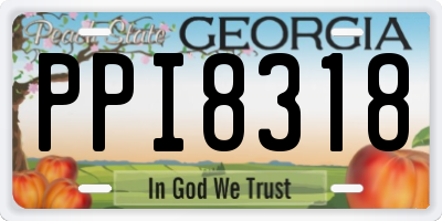 GA license plate PPI8318