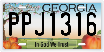 GA license plate PPJ1316