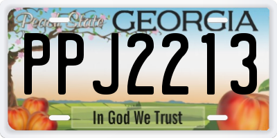 GA license plate PPJ2213