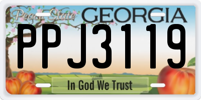 GA license plate PPJ3119