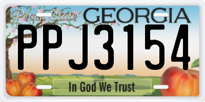 GA license plate PPJ3154