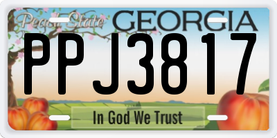 GA license plate PPJ3817
