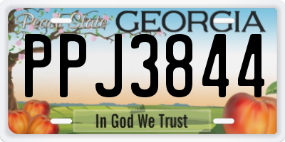 GA license plate PPJ3844