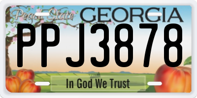 GA license plate PPJ3878