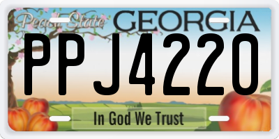 GA license plate PPJ4220