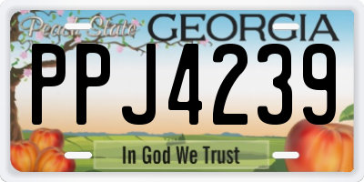 GA license plate PPJ4239