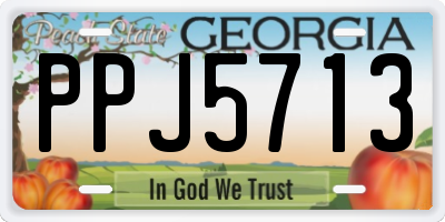 GA license plate PPJ5713