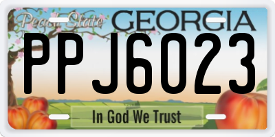 GA license plate PPJ6023