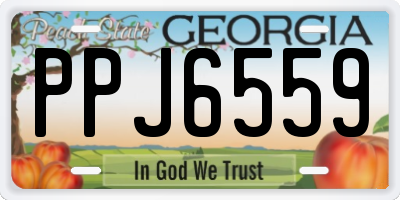 GA license plate PPJ6559