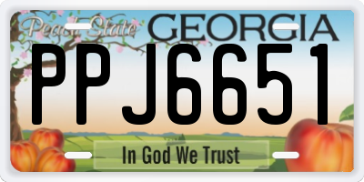 GA license plate PPJ6651
