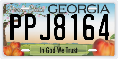 GA license plate PPJ8164