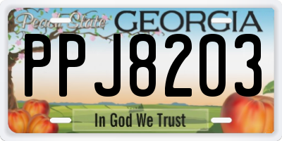 GA license plate PPJ8203