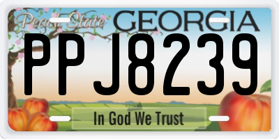 GA license plate PPJ8239