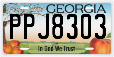 GA license plate PPJ8303
