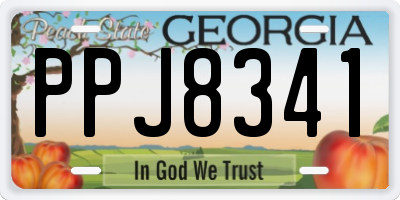 GA license plate PPJ8341