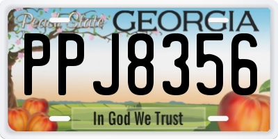 GA license plate PPJ8356