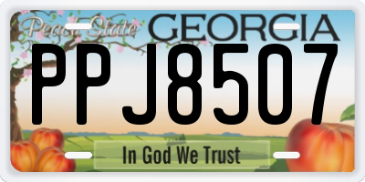 GA license plate PPJ8507