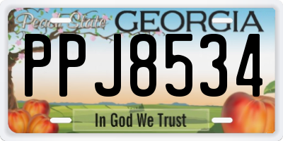 GA license plate PPJ8534