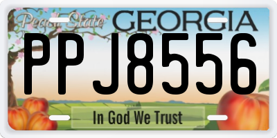 GA license plate PPJ8556